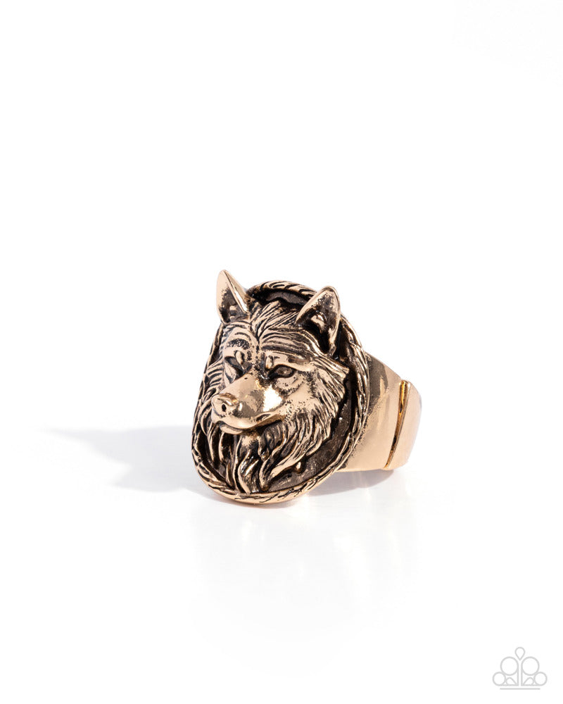 Audacious Alpha - Gold | Paparazzi Accessories