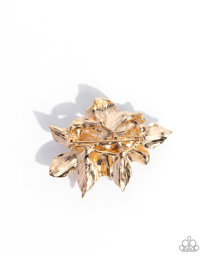 Pampered Prelude - Multi Brooch | Paparazzi Accessories