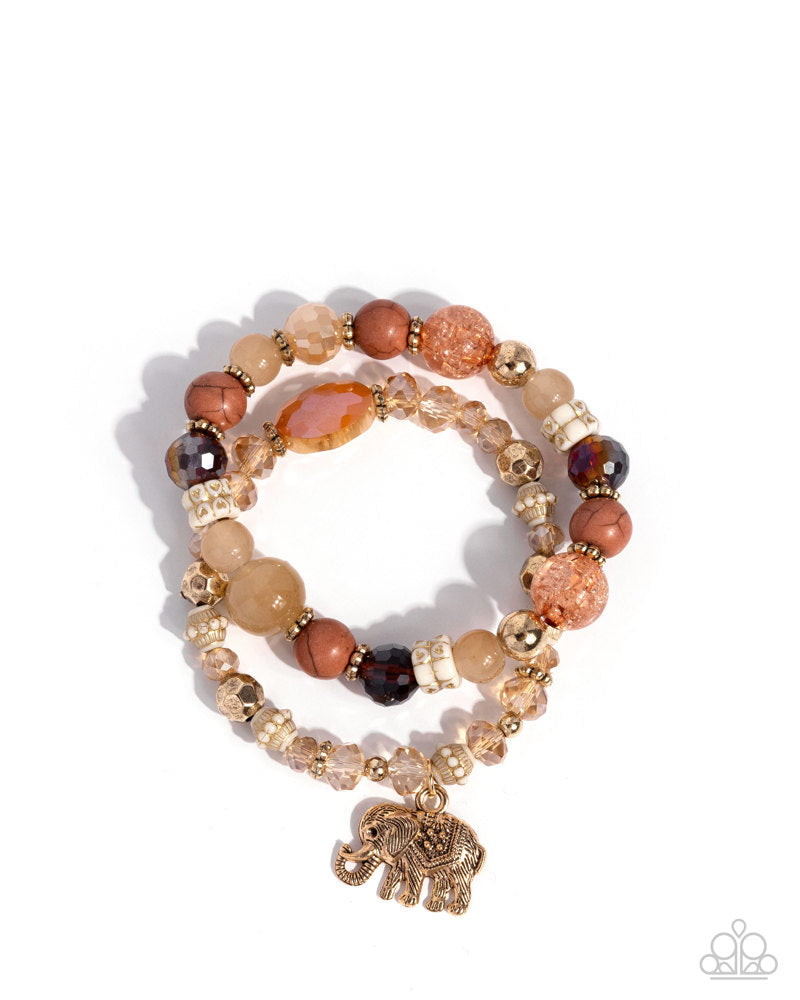 Wise Whimsy - Brown | Paparazzi Accessories