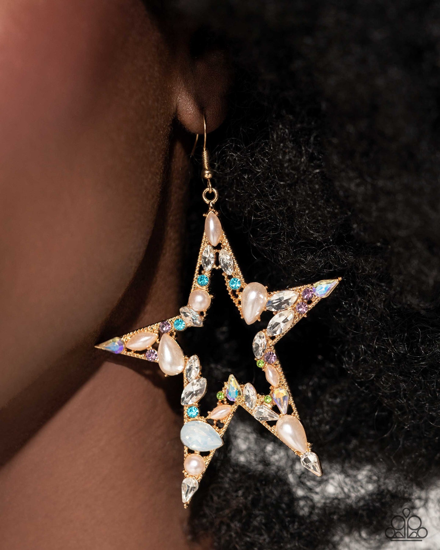 Variegated Value - Multi Earring July 2024 Life of the Party